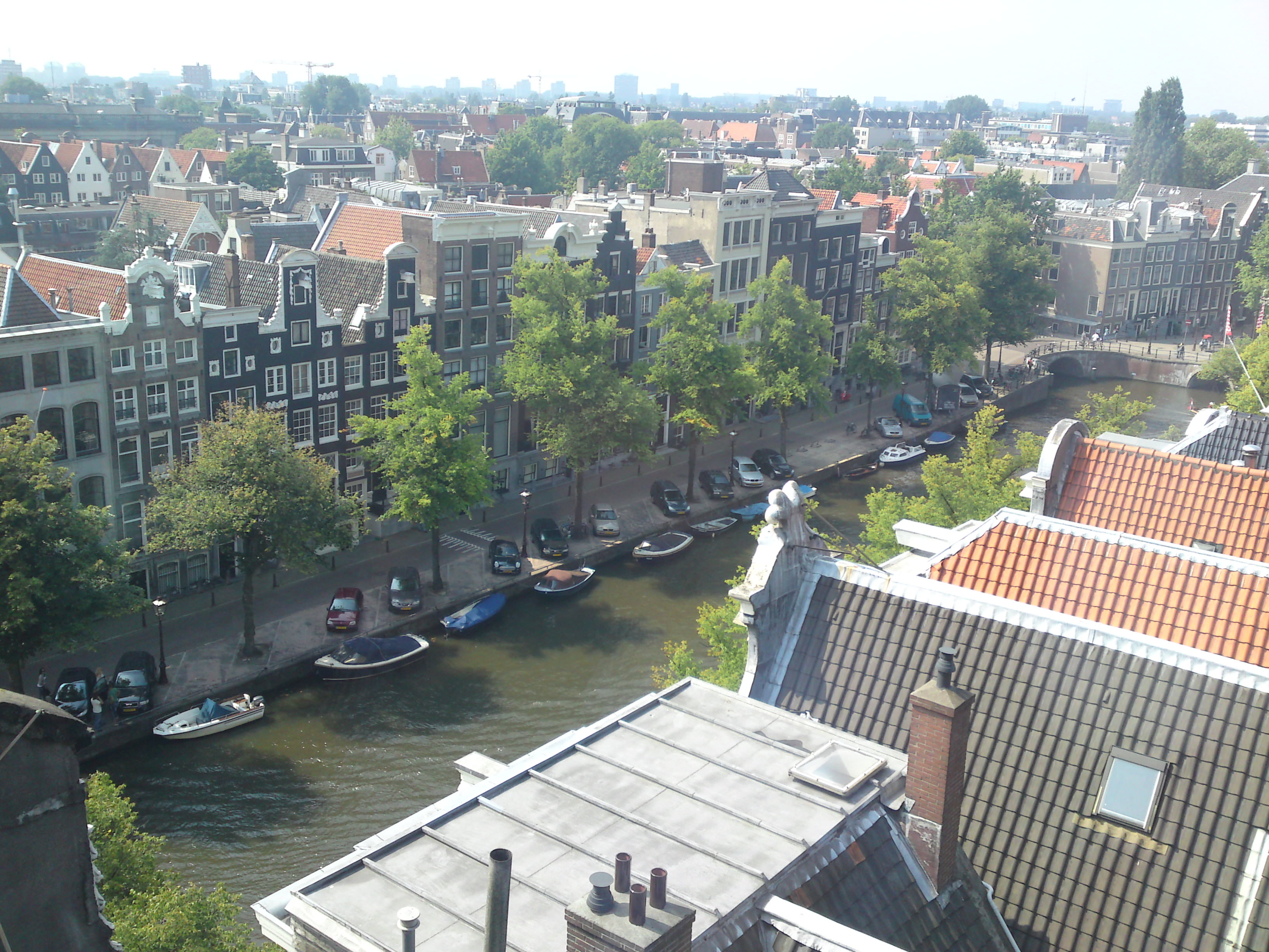 View from Metz & Co