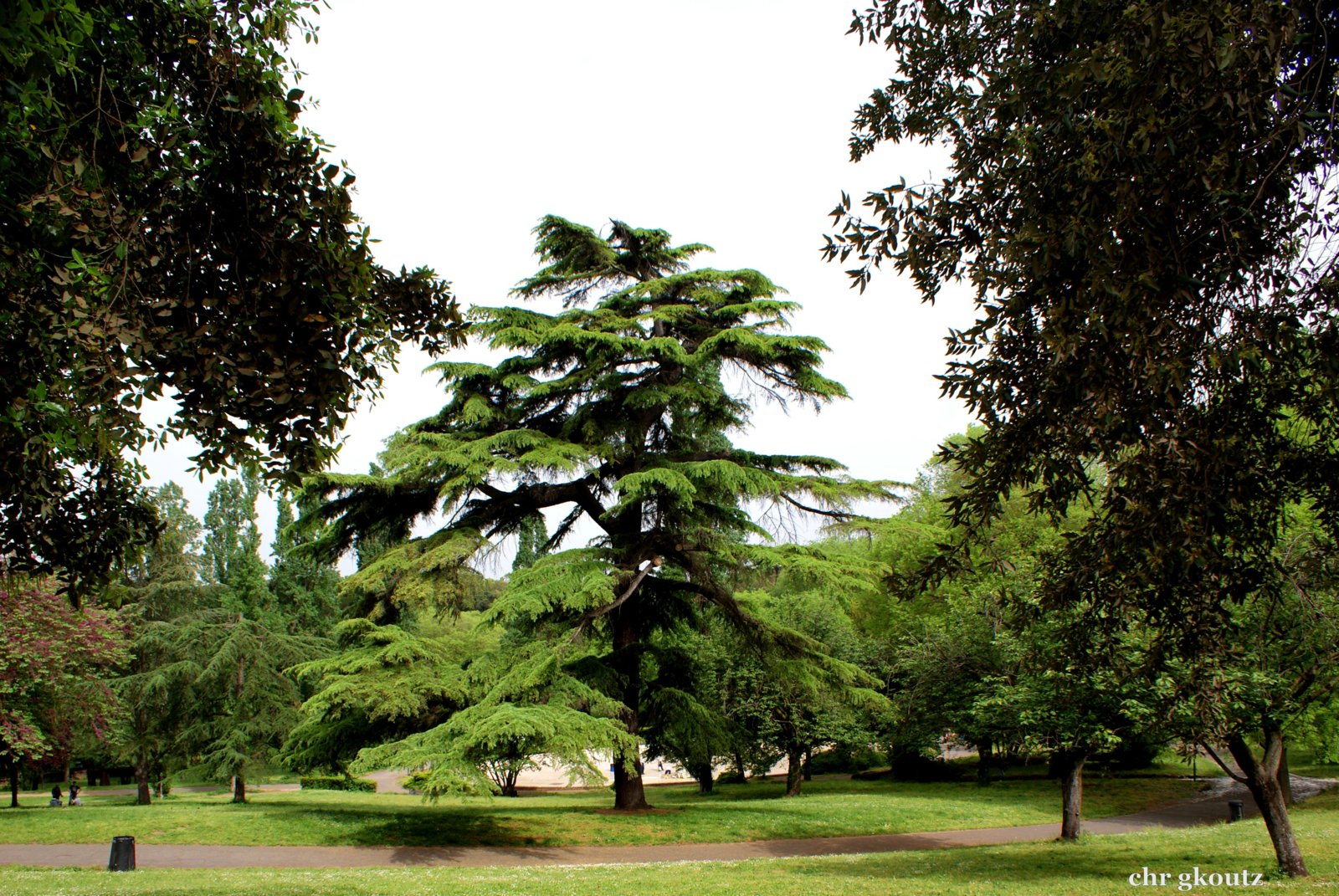 Villa Borghese's park