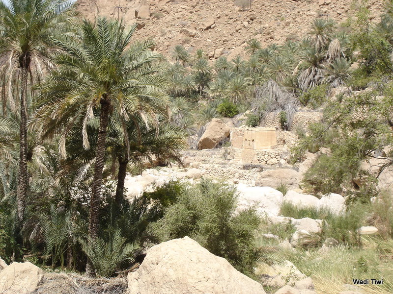 Wadi Tiwi