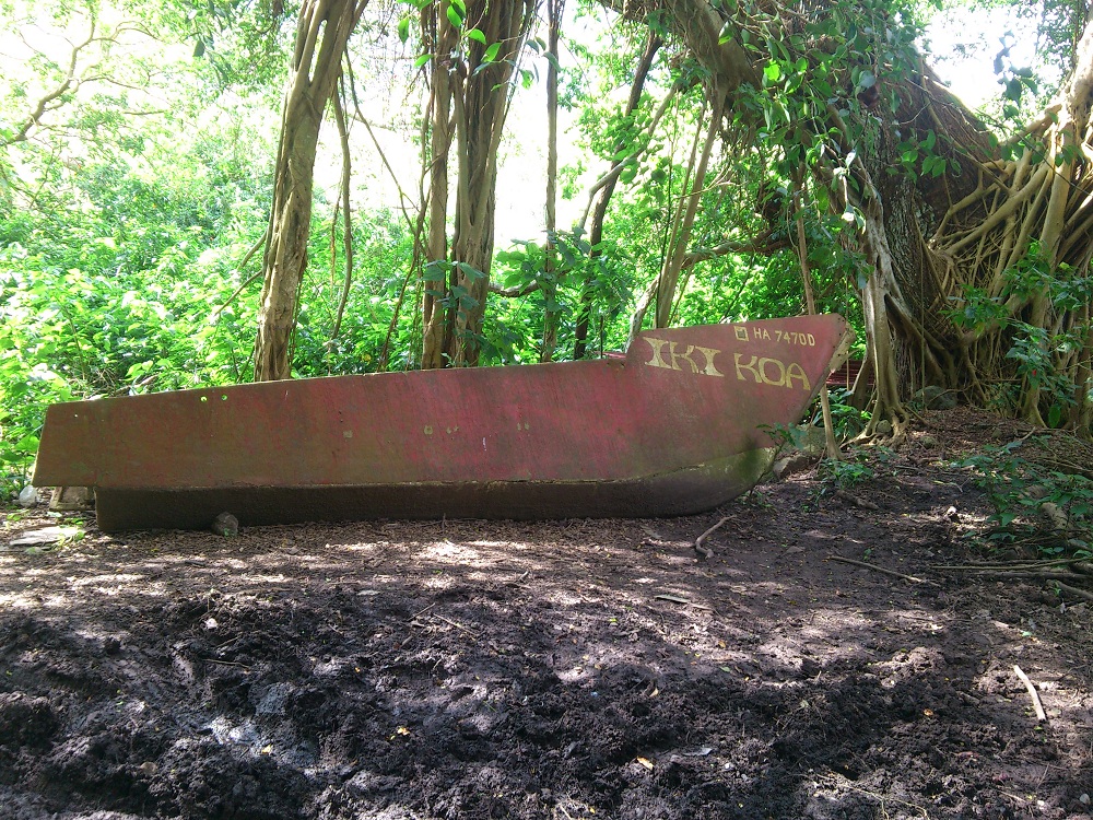 Waipio Valley Road 4