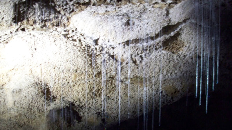 waitomo caves