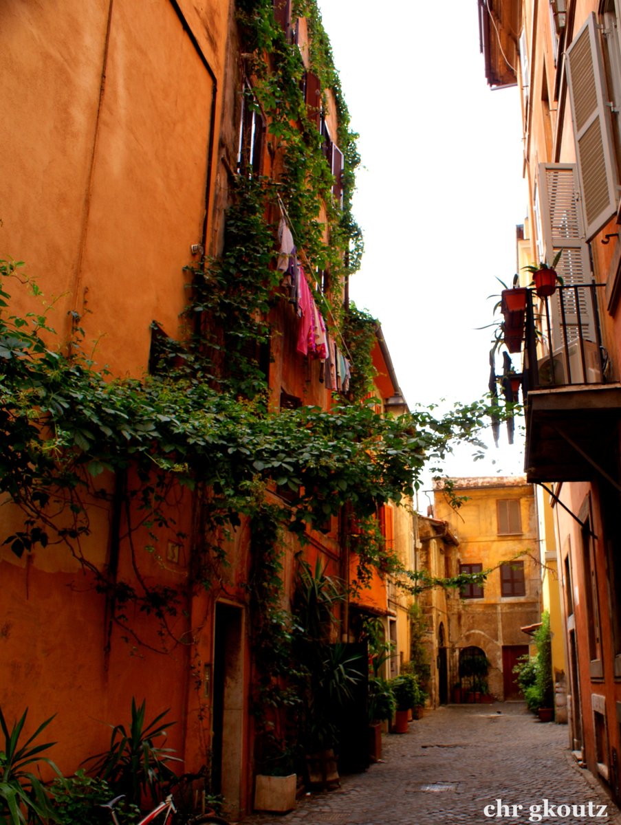 Walking In Trastevere Alley