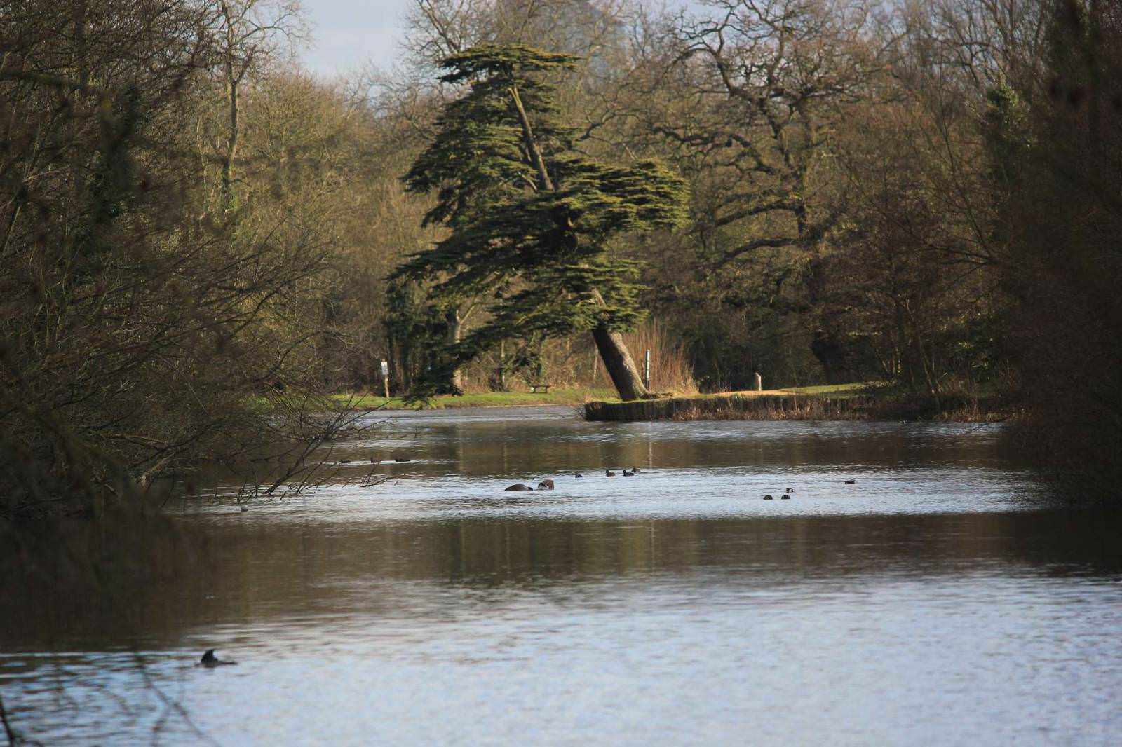 Wanstead Park