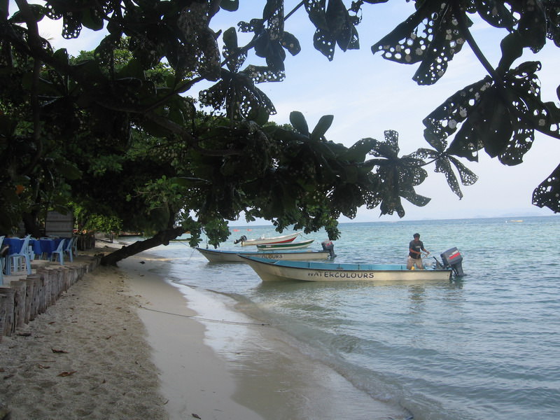 Water-taxi anyone?