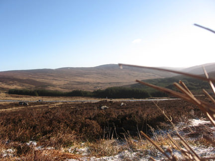 wicklow mountains