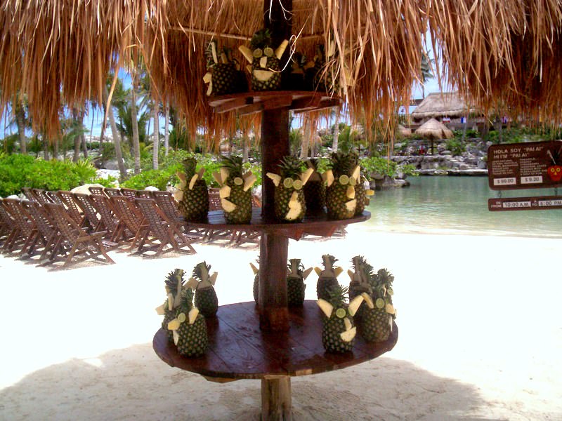 Xcaret pineapples