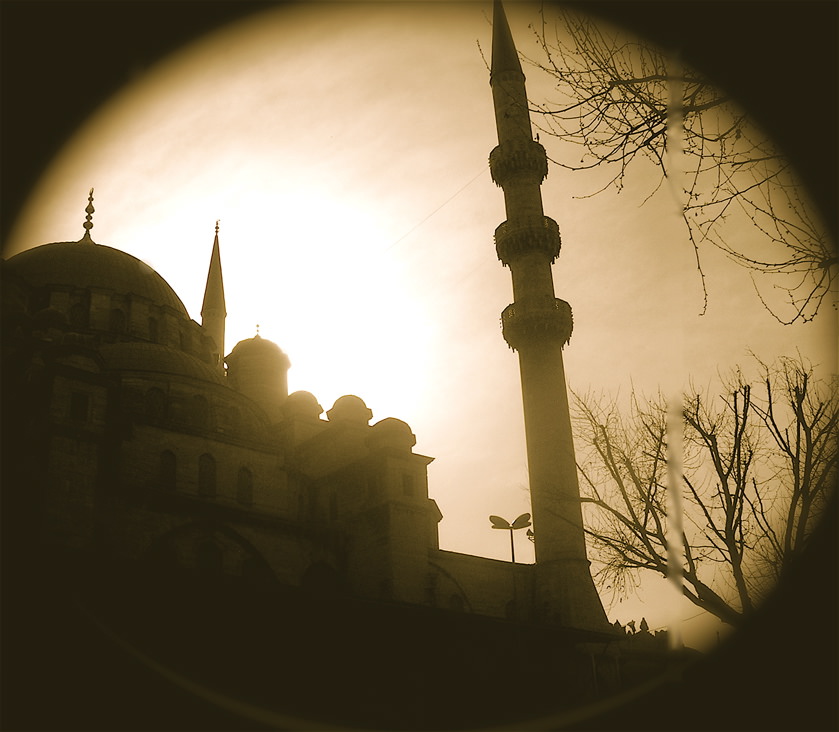 yeni_tzami