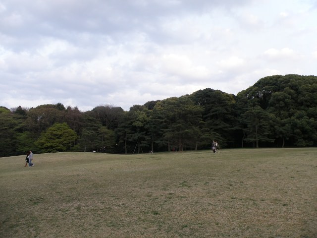 Yoyogi park, Tokyo