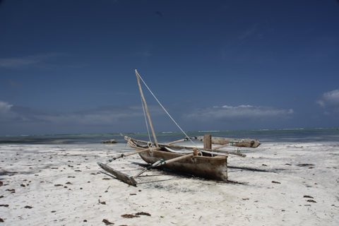 Zanzibar - Kinengwa beach