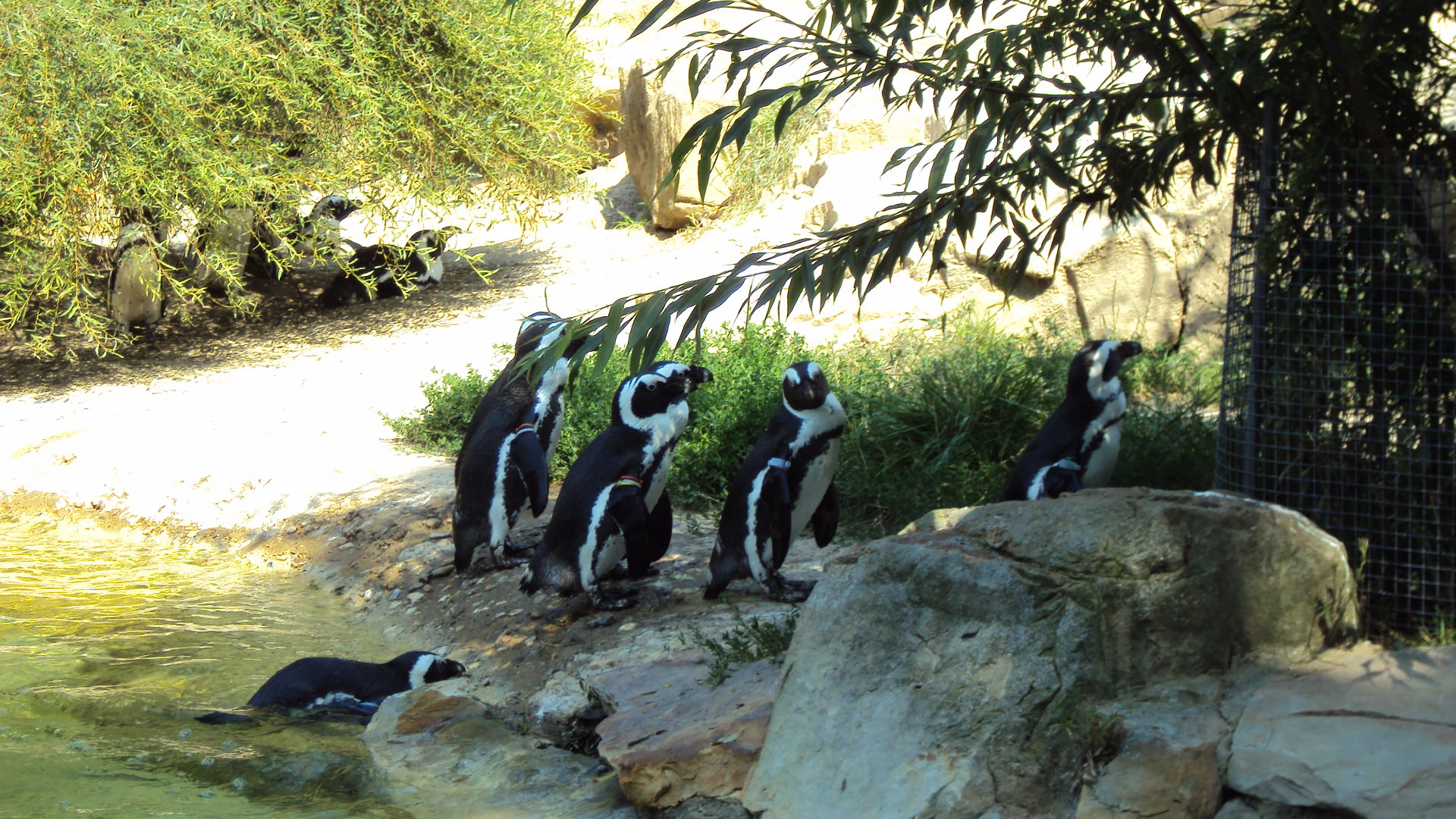 zoologischter garden