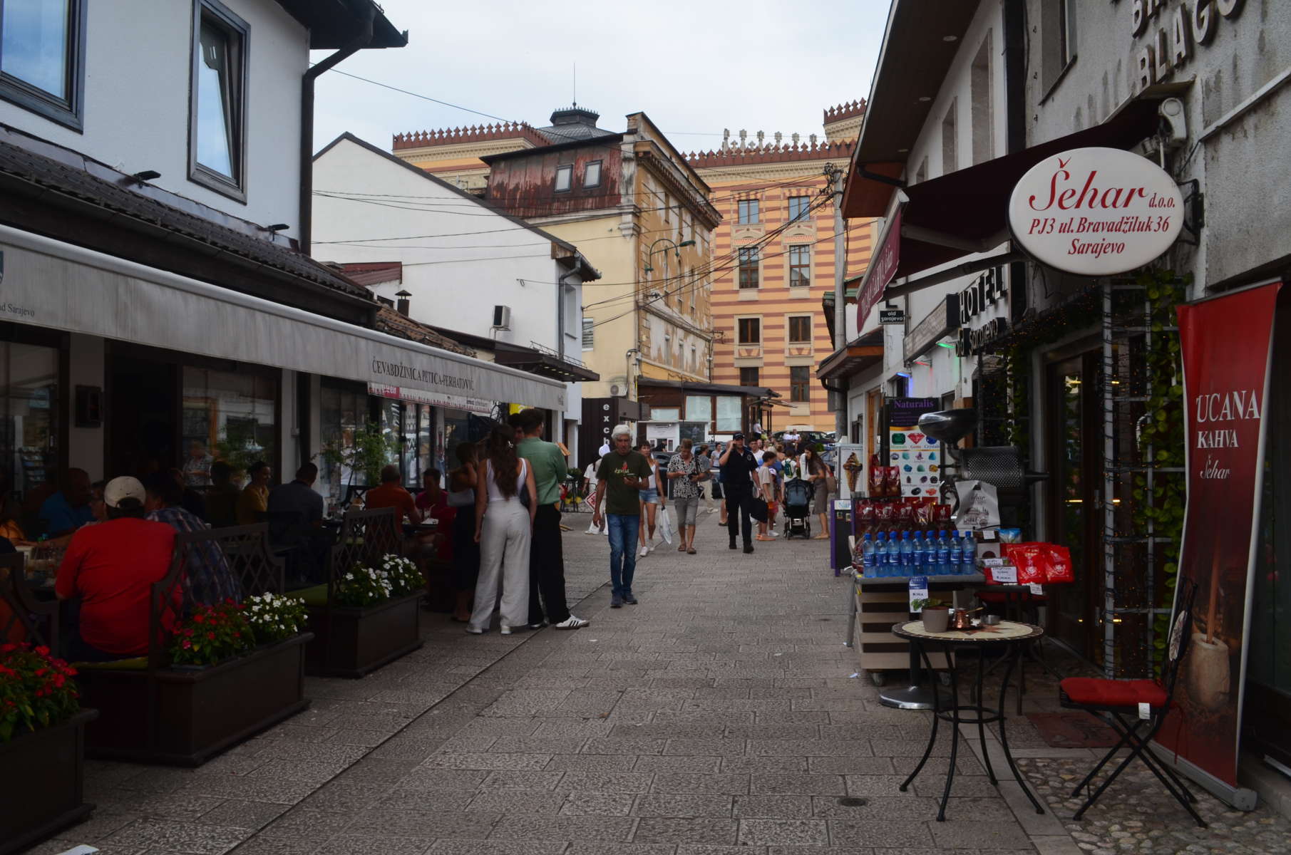 IMG-20230731-6