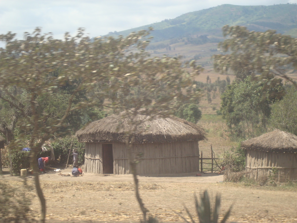 DSC02102