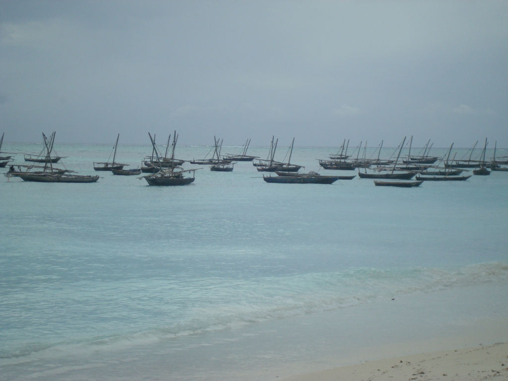 DSC02305