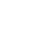 VivieGrey