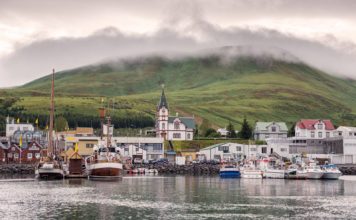 Χούσαβικ, ένας παράδεισος παρατήρησης φαλαινών στην Ισλανδία