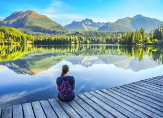 Ψάχνοντας καφέ αρκούδες στη Σλοβακία
