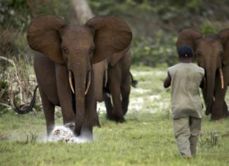 Η μαγεία ενός Νοτιοαφρικανικού Safari