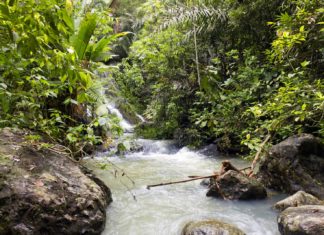 Μashpi Lodge, ο βασιλιάς της ζούγκλας του Εκουαδόρ