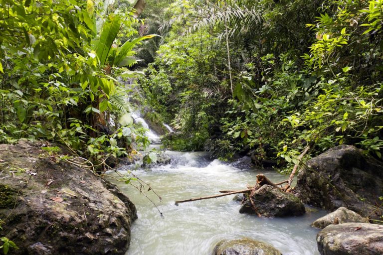 Μashpi Lodge, ο βασιλιάς της ζούγκλας του Εκουαδόρ