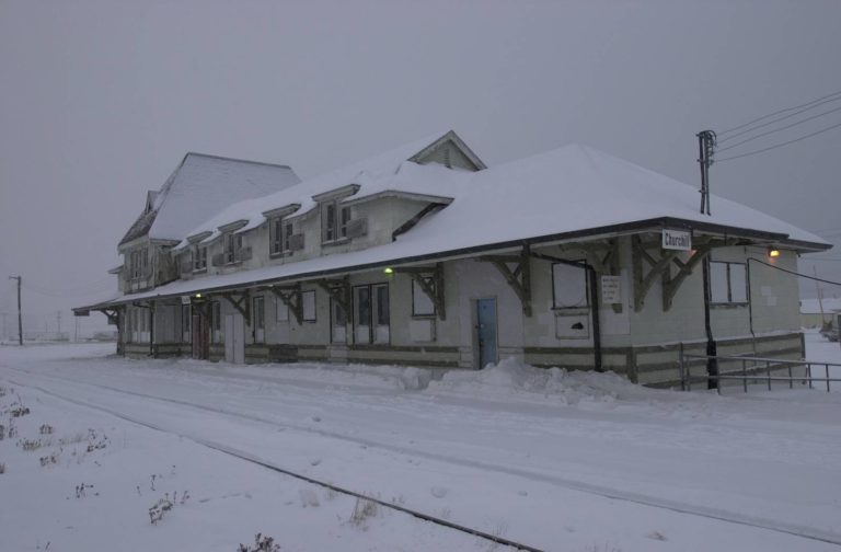 Πολικές αρκούδες στο Τσώρτσιλ του Καναδά