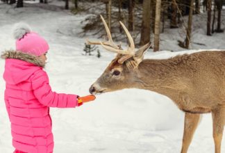 Omega Park, ένα συναρπαστικό πάρκο για παιδιά στον Καναδά