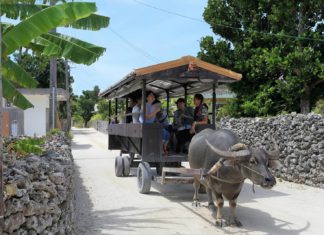 Τακετόμι, ένα παραδεισένο νησί στην Ιαπωνία