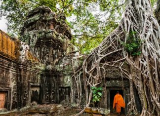 Εμπειρία ζωής στην Άνκορ της Καμπότζης