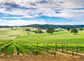 Δοκιμάζοντας κρασιά στην Μπαρόσα Βάλεϊ