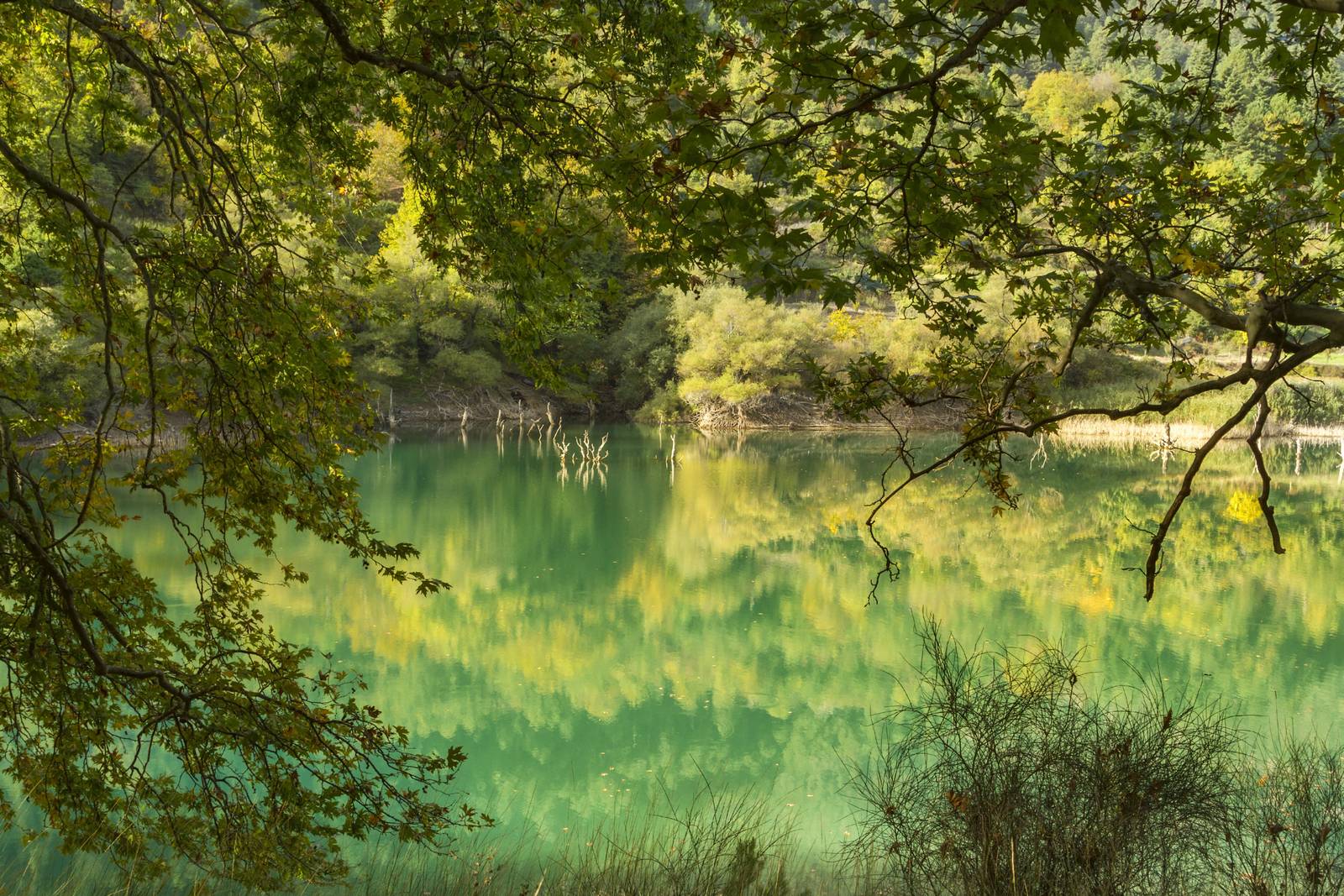Λίμνη Τσιβλού, μικρός αχαϊκός παράδεισος | Travelstories