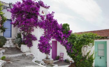 Αλόννησος, στα λημέρια της μεσογειακής φώκιας