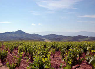 Λα Ριόχα: Στην ισπανική πρωτεύουσα του κρασιού