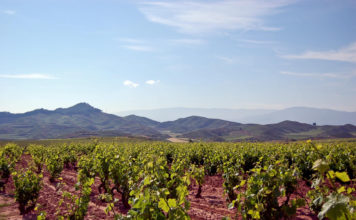 Λα Ριόχα: Στην ισπανική πρωτεύουσα του κρασιού