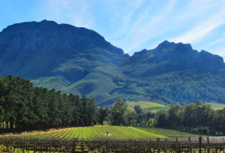 Ο Δρόμος του Κρασιού στο Stellenbosch