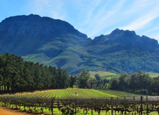 Ο Δρόμος του Κρασιού στο Stellenbosch
