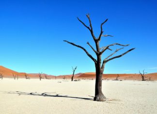 Sossussvlei – πολυτέλεια στο μέσο του πουθενά