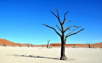 Sossussvlei – πολυτέλεια στο μέσο του πουθενά