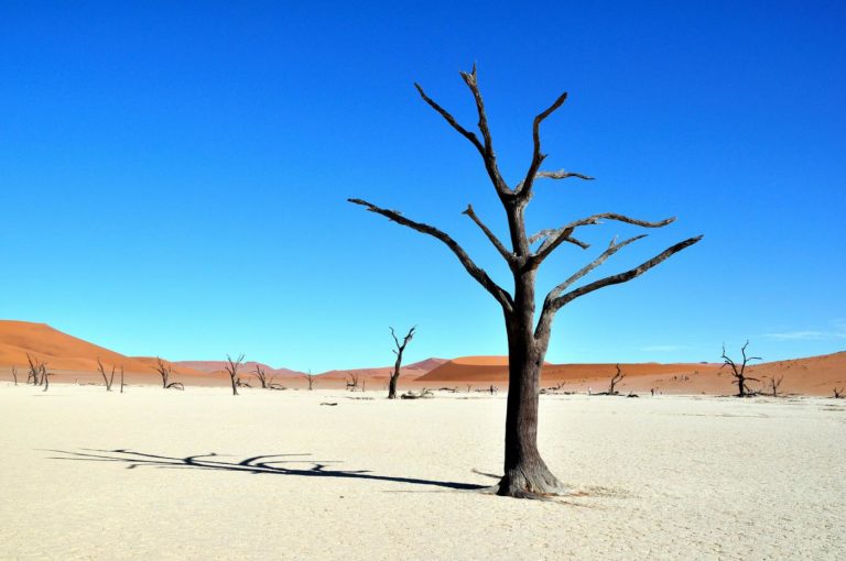 Sossussvlei – πολυτέλεια στο μέσο του πουθενά
