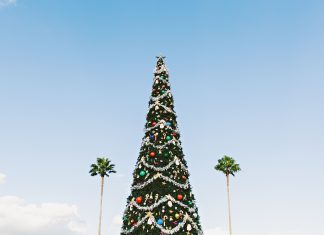 Top – 5 προορισμοί για Πρωτοχρονιά στο Νότιο ημισφαίριο