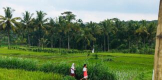 Ταξίδι στην Ινδονησία