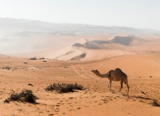 Ταξίδι στο Ομάν